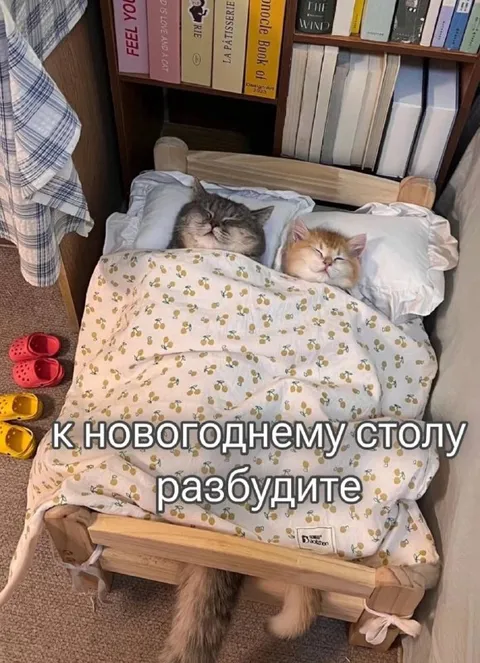 Разбудите к новогоднему столу