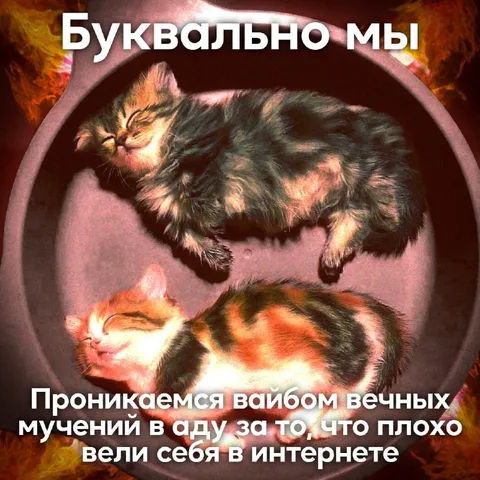 Котики в аду за интернет