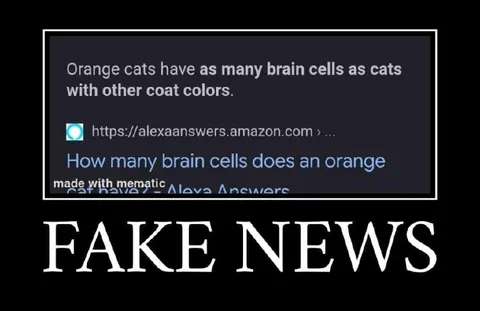 Orange Cat Fake News
