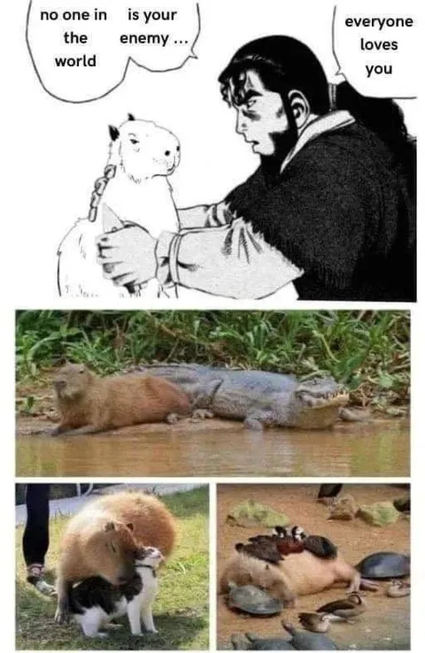 Everyone Loves the Capybara