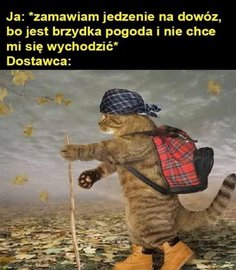 Dostawca w brzydką pogodę