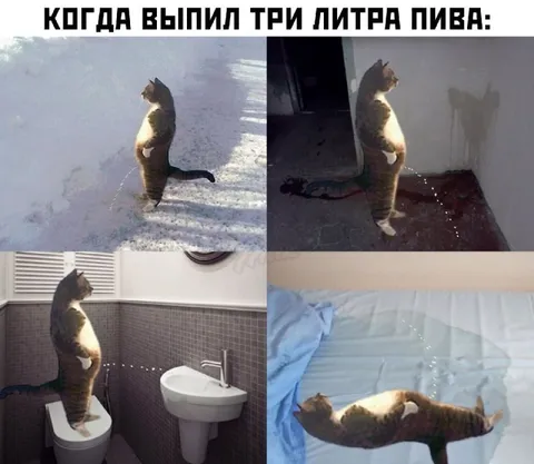 Когда выпил три литра пива