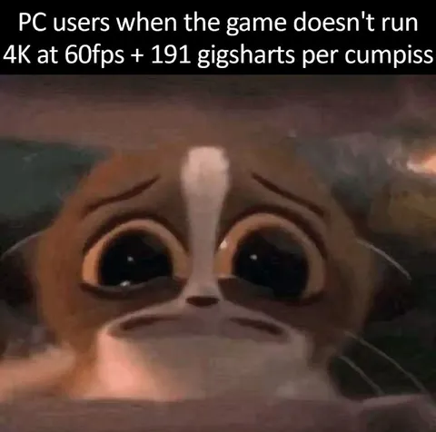 PC Users When the Game Won't Run
