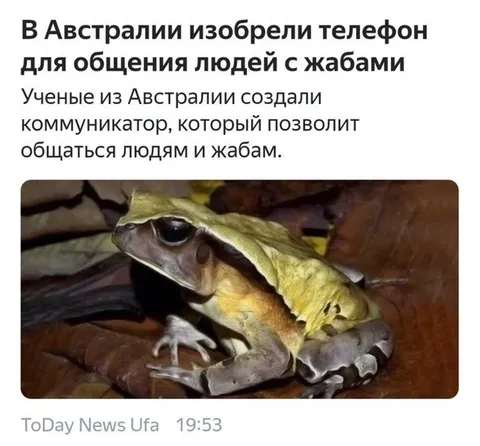 Телефон для общения с жабами