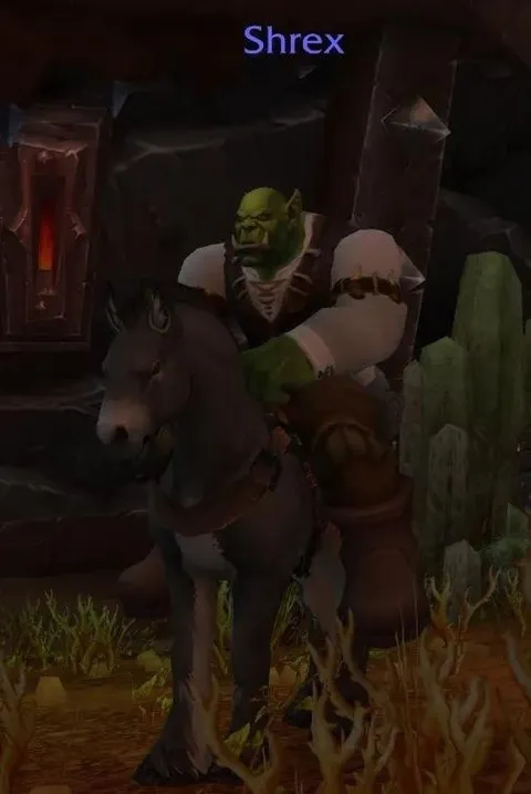 Shrex Riding a Horse