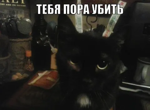 Тебя пора убить