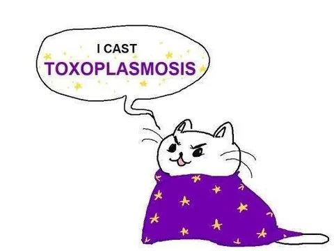 Cat Casts Toxoplasmosis
