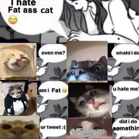 Fat Ass Cat Reaction Collage