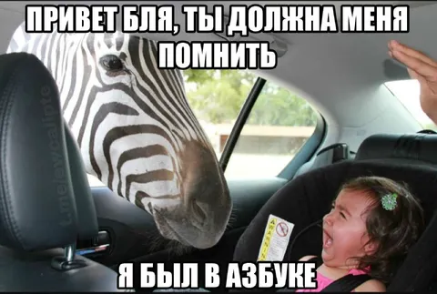 Зебра была в азбуке