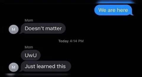 Mom Just Learned UwU