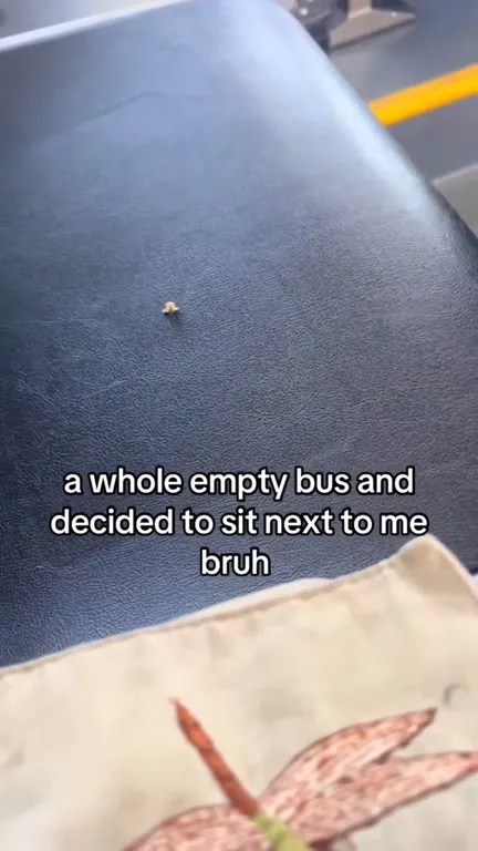 Bug Chooses the Empty Bus Seat