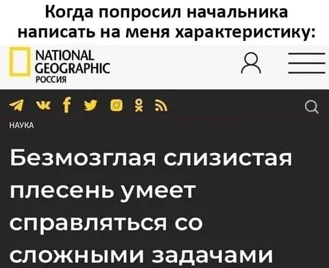 Характеристика от начальника