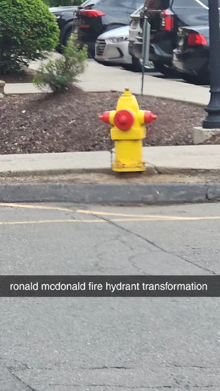 Ronald McDonald Fire Hydrant Transformation