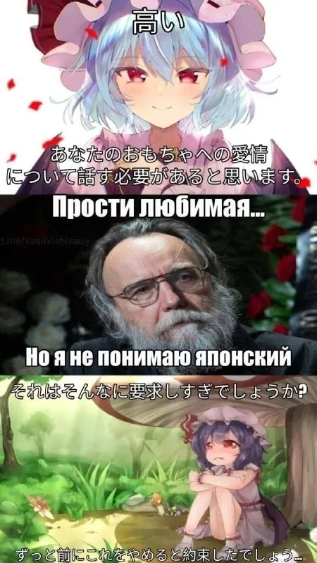 Я не понимаю японский