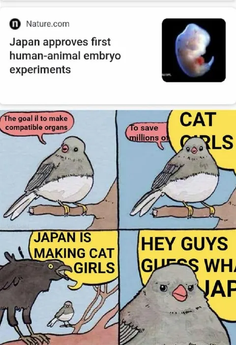 Japan Makes Cat Girls