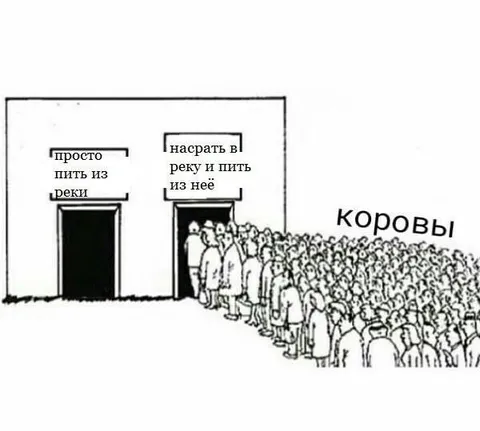 Коровы выбирают загрязнённую реку