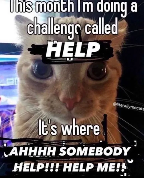 Cat Help Challenge