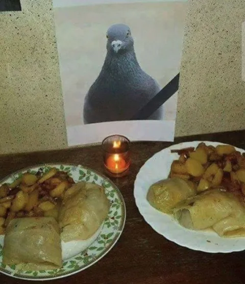 Поминальный ужин для голубя