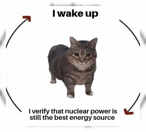 Cat Verifies Nuclear Power