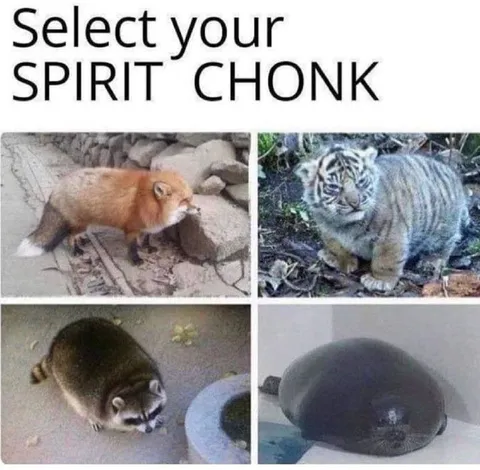 Select Your Spirit Chonk