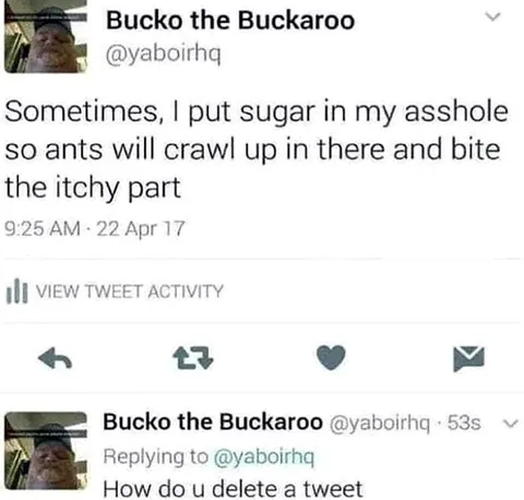Sugar and Ants Tweet