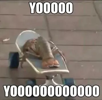 Yooooo Skateboard Surprise