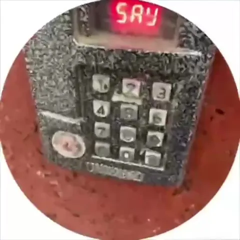 Кнопочный домофон говорит SRY