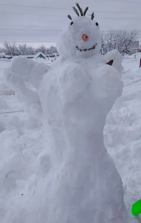 Снежная фигура без снега