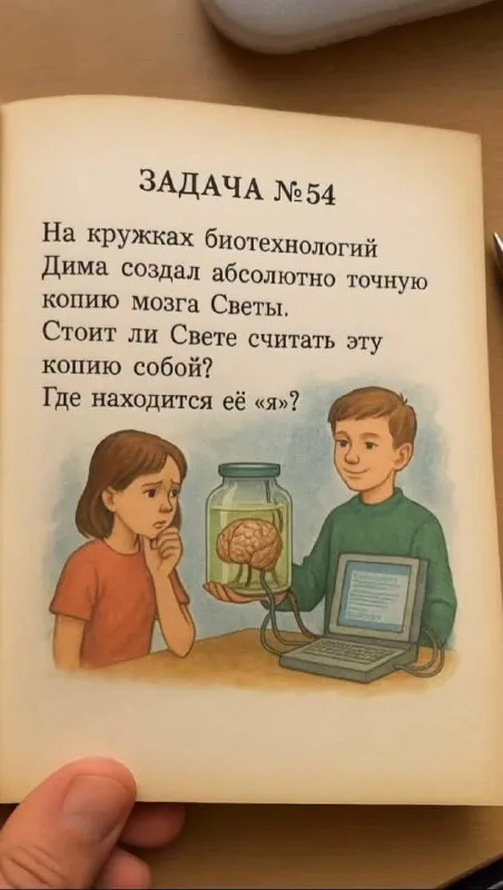 Задача про копию мозга
