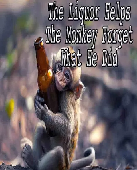 Monkey Drinks to Forget