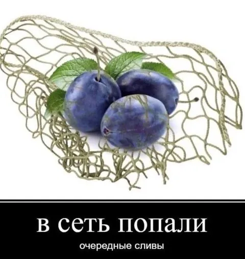 Очередные сливы попали в сеть