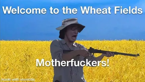 Welcome to the Wheat Fields