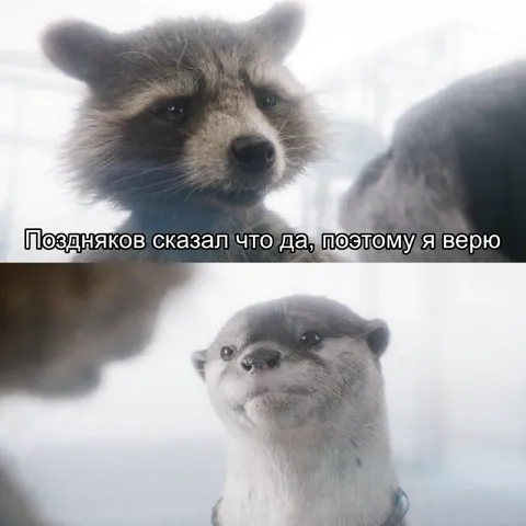 Поздняков сказал, поэтому верю