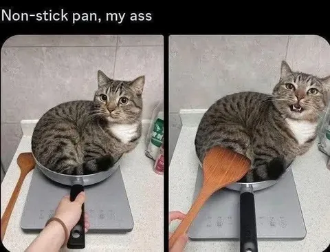 Non-stick Pan Fails