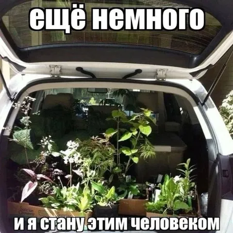 Ещё немного и стану садовником