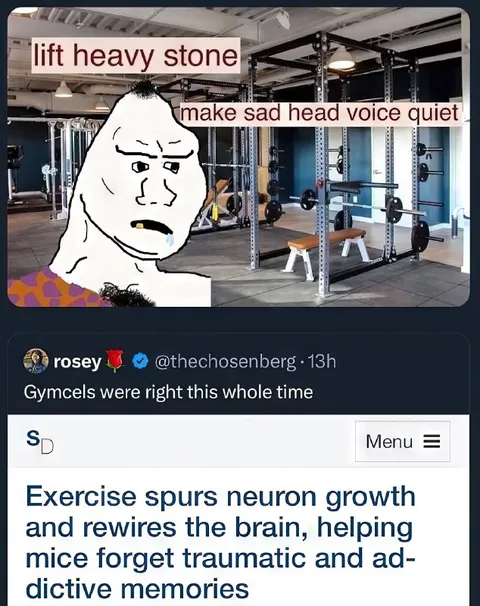 Gymcels Were Right All Along