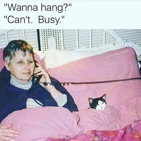 Wanna Hang? Can't, Busy