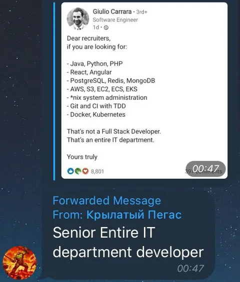 Senior Entire IT Department Developer