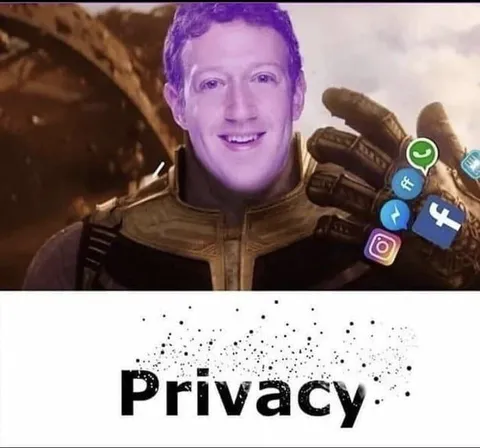Mark Zuckerberg Privacy Thanos