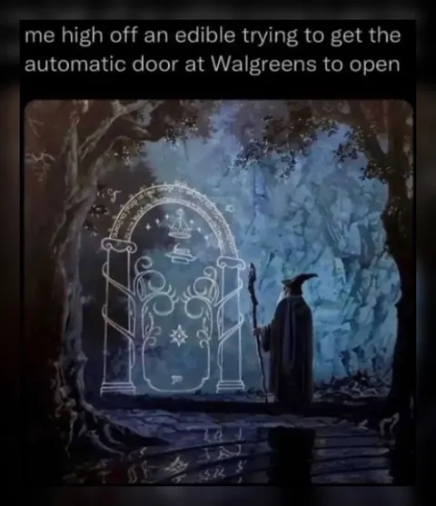 High Trying to Open Walgreens Door