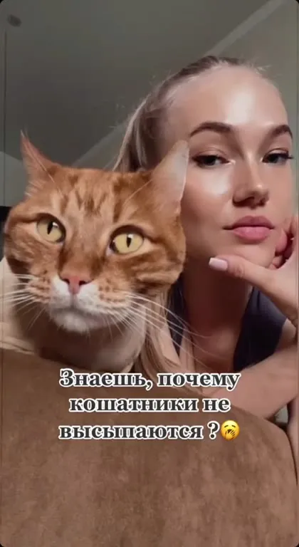 Почему коты не высыпаются