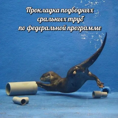 Прокладка подводных труб