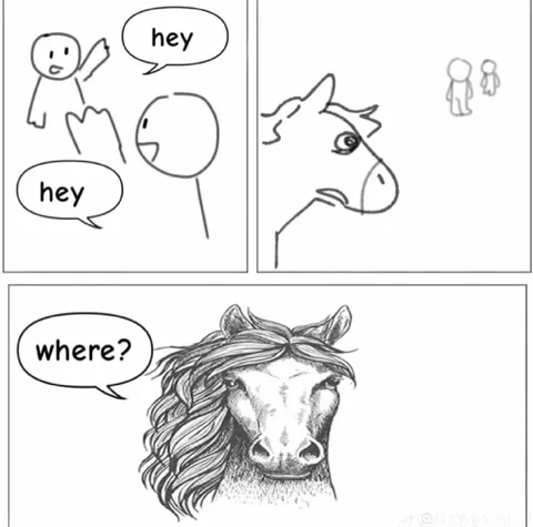 Horse Says Where