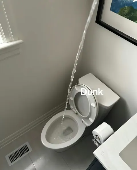 Toilet Dunk