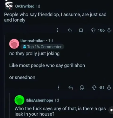 Friendslop Gorillahon Sneedhon Debate
