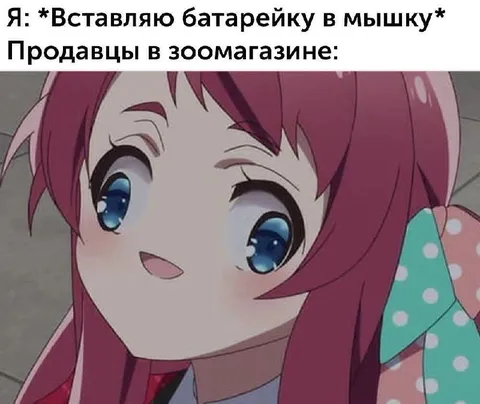 Продавцы в зоомагазине