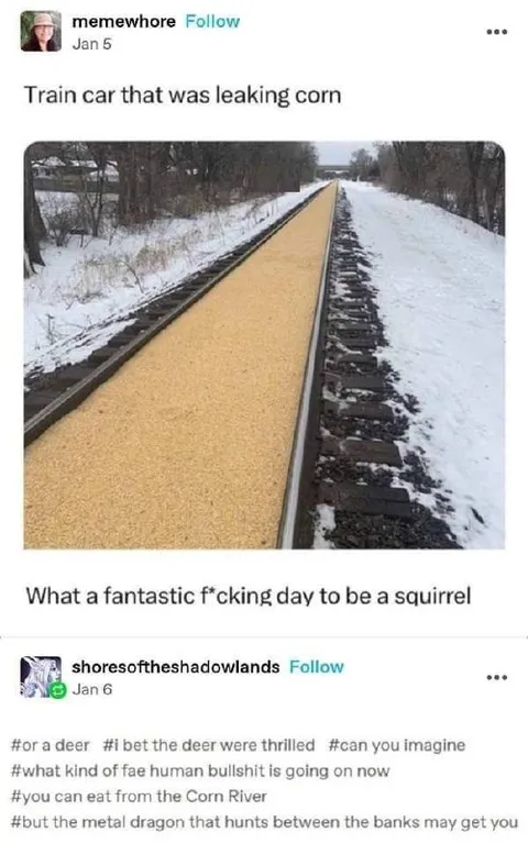 Corn River Train Track
