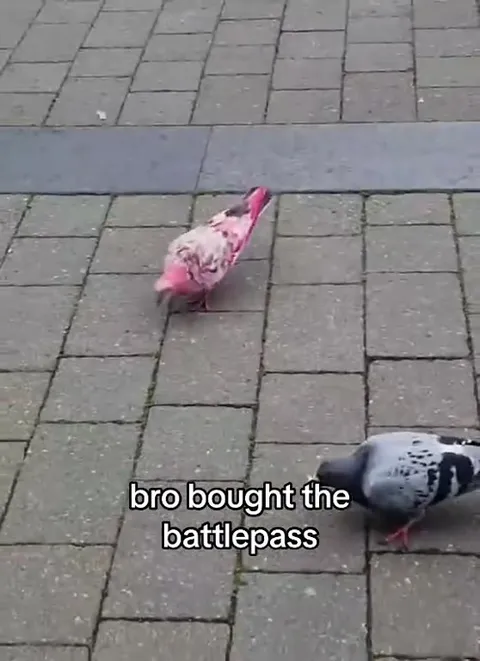 Bro Bought the Battlepass