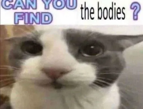 Can You Find the Bodies Cat