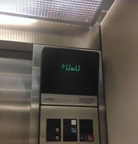 Лифт говорит UwU